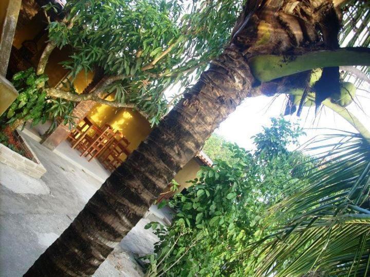 Pousada Agua De Coco Prado Eksteriør bilde
