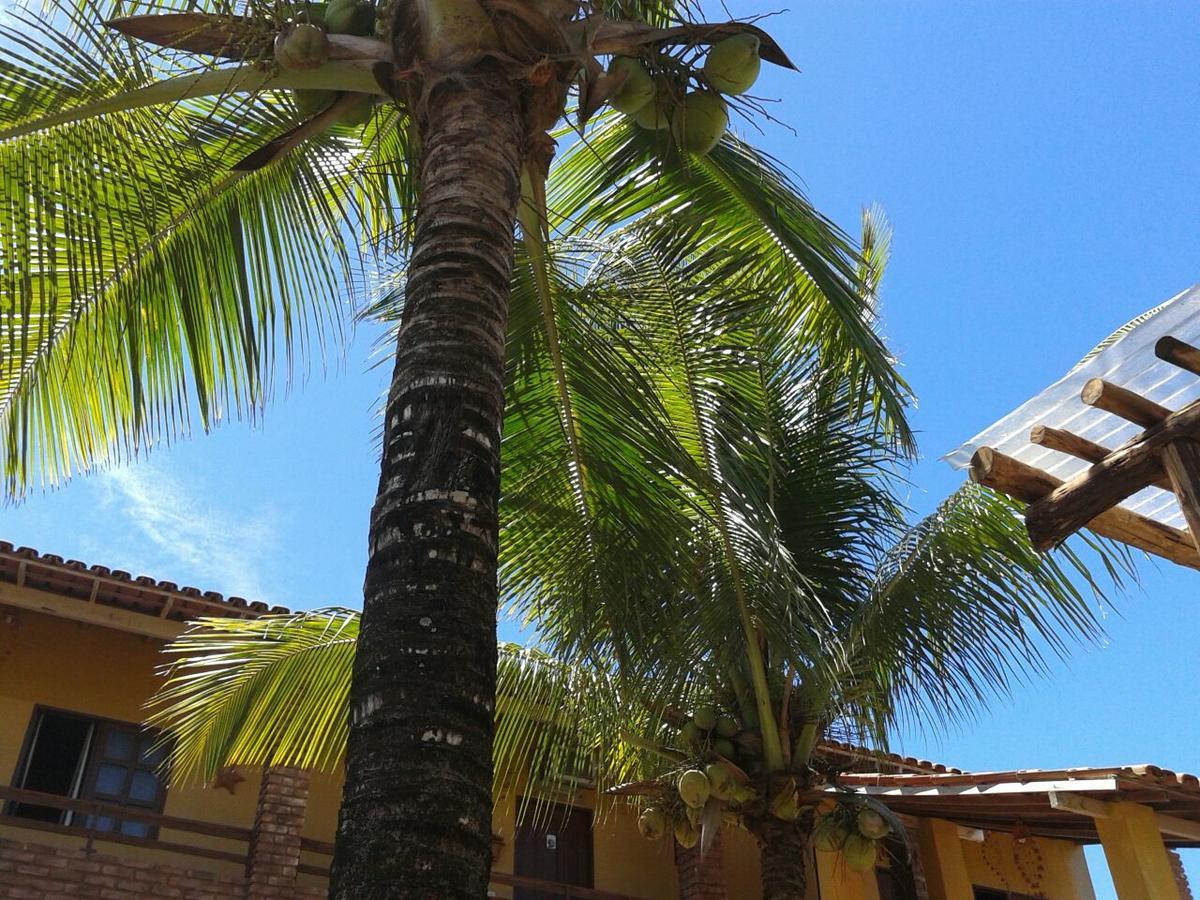 Pousada Agua De Coco Prado Eksteriør bilde